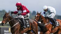 Danny Mullins onboard Place De La Nation comes home to win  2/5/2026