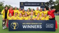 Railway Union and Lisnagarvey savour AIG Irish Senior Cup glory 