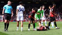 AFC Bournemouth v Crystal Palace - Premier League - Vitality Stadium