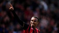 AFC Bournemouth v Crystal Palace - Premier League - Vitality Stadium