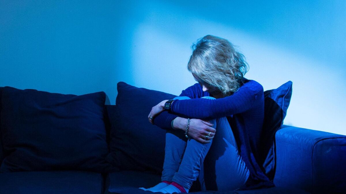 Domestic violence register must include safeguards to combat 'unintended consequences'