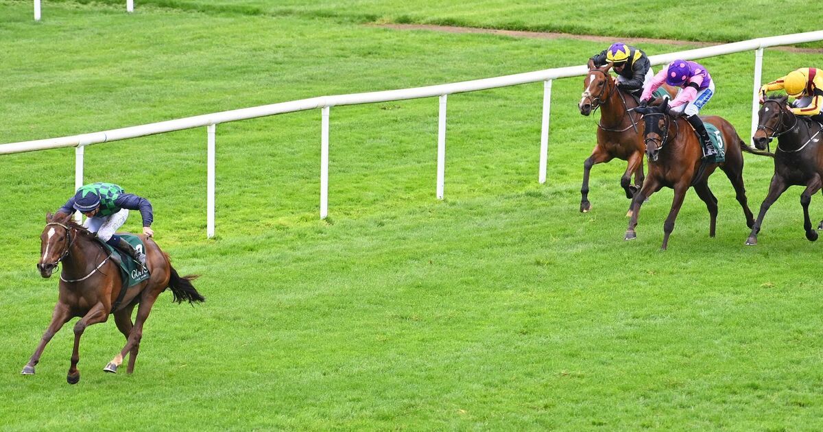 'She won really well' - Royal Bay Cen saunters to victory in Cork