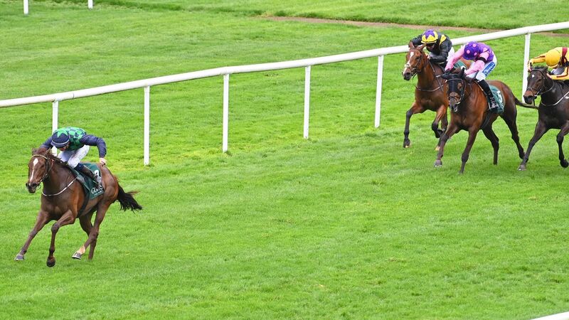 'She won really well' - Royal Bay Cen saunters to victory in Cork