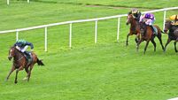'She won really well' - Royal Bay Cen saunters to victory in Cork