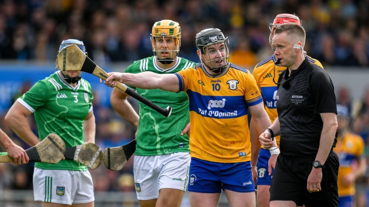 Brian Gavin: Indiscipline in Clare and Limerick clash means players have to look at themselves