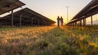 Employees Walking at Solar Power Farm