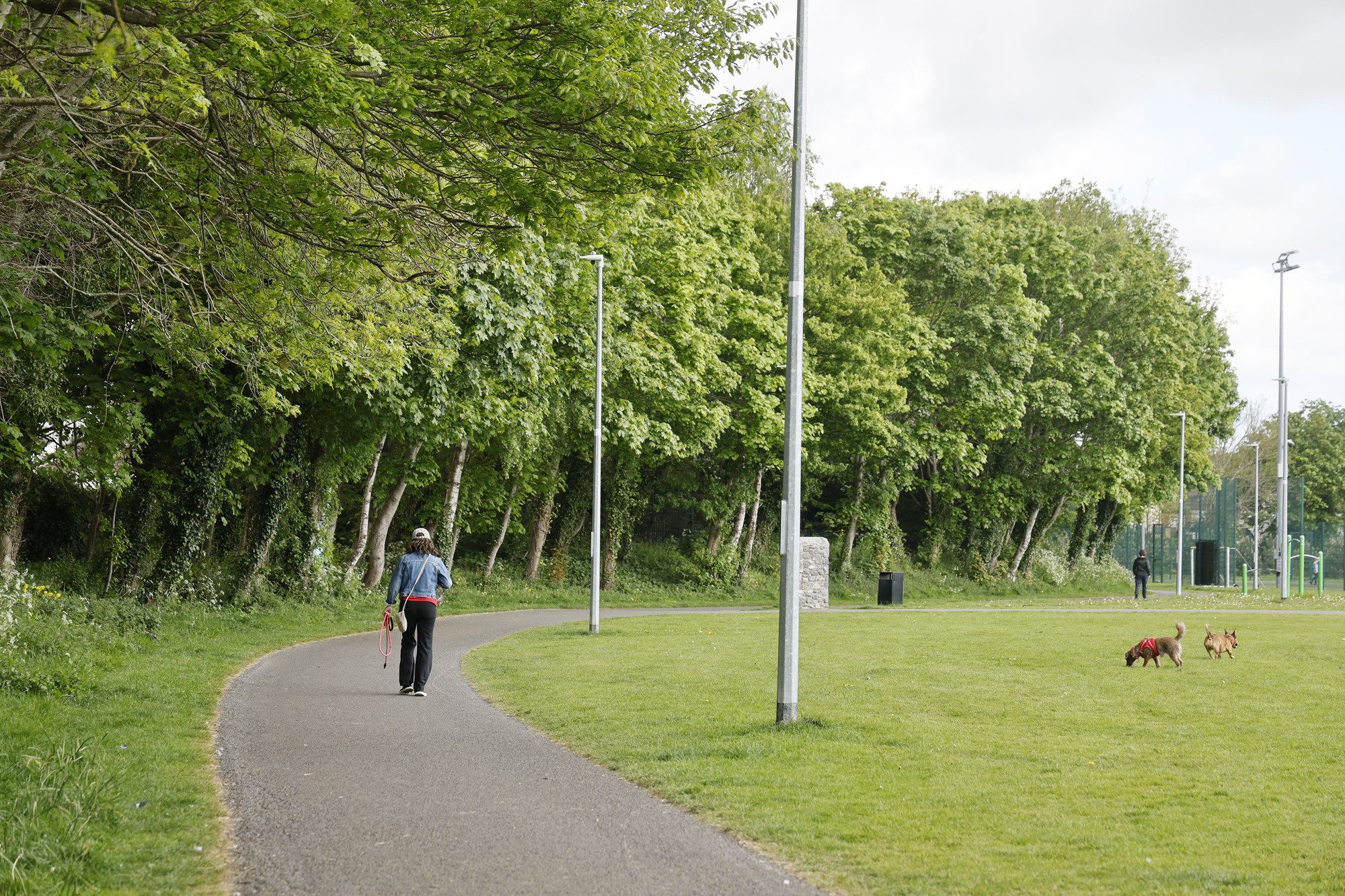 Garda Hospitalised After E-Bike Rider Deliberately Strikes Officer in West Dublin Park — image 5