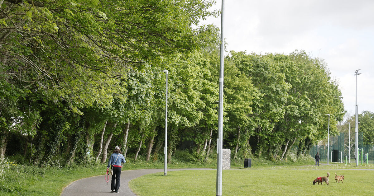 Garda Hospitalised After E-Bike Rider Deliberately Strikes Officer in West Dublin Park — image 2