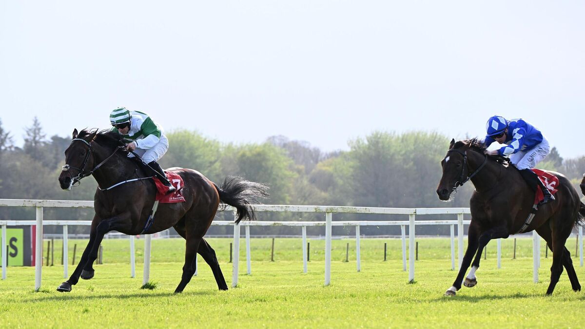 Gowran Park preview: Majestic King could be worth the wait