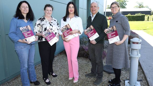 <p>(Left to right) Dr Stephanie Buijs, AFBI lead project partner, Dr Keelin O’Driscoll Project co-ordinator at Teagasc, Dr Laura Boyle, project principal investigator at Teagasc, Professor Ilias Kyriazakis Queens University Belfast lead project partner and Professor Siobhan Mullan UCD lead project partner and chair of the roadmap for higher welfare Irish pig farming. </p>