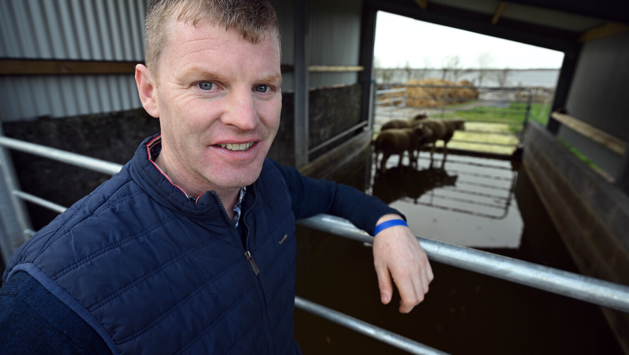 Less silage, more grazing: Rethink is driving efficiency on Michael's Galway sheep farm 