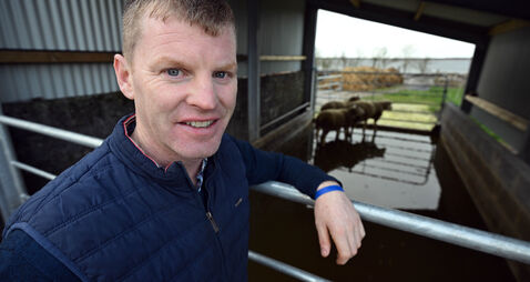 Less silage, more grazing: Rethink is driving efficiency on Michael's Galway sheep farm 