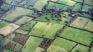 <p>Late meadow bonuses will be monitored by the AMS. Picture: Noel Bennett</p>