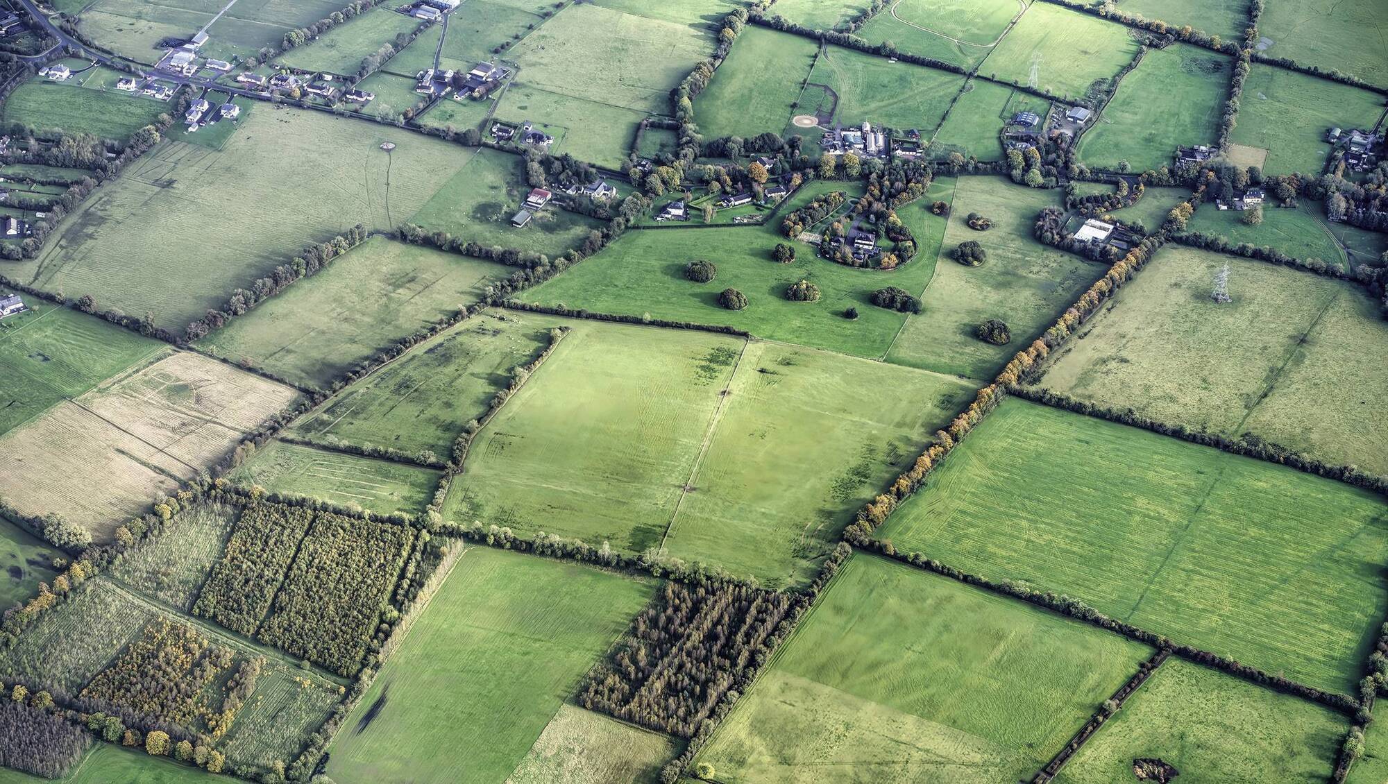 Monitoring system to be used for late meadow bonus payment under ACRES