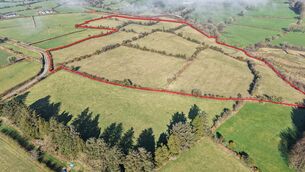 <p>Some of the lands at Knockavinnia, Waterford, sold at auction</p>