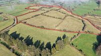 Elevated lands in Waterford fetch an impressive €14k/acre at auction