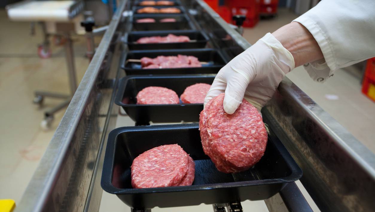 Beef finishers reel from mounting losses as factory prices hold steady