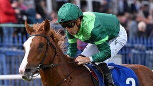 <p>Benvenuto Cellini can stamp his own ticket to the Epsom Derby. File Pic: Healy Racing</p>