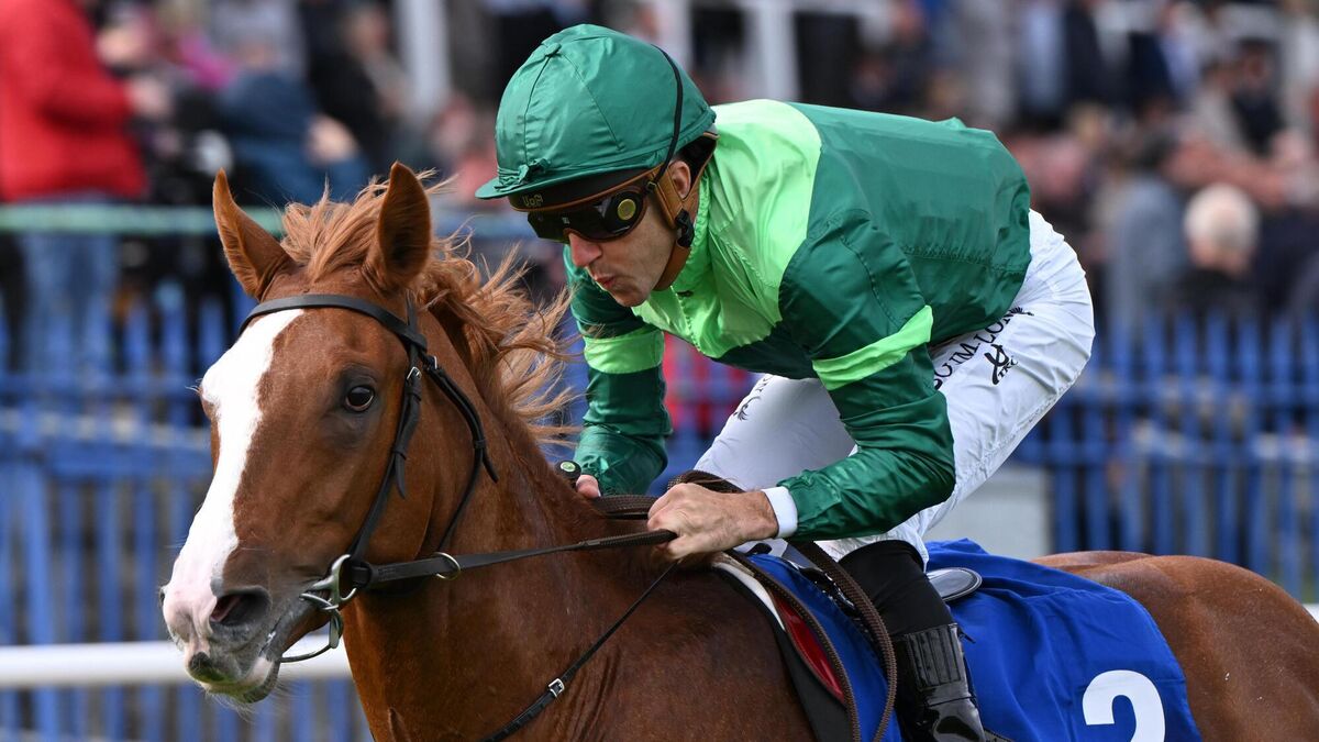 Benvenuto Cellini goes on Derby trial at Chester