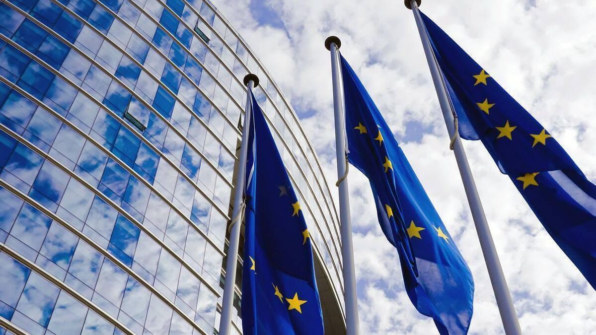 Mother of autistic boy to address European Parliament over lack of school place for her son