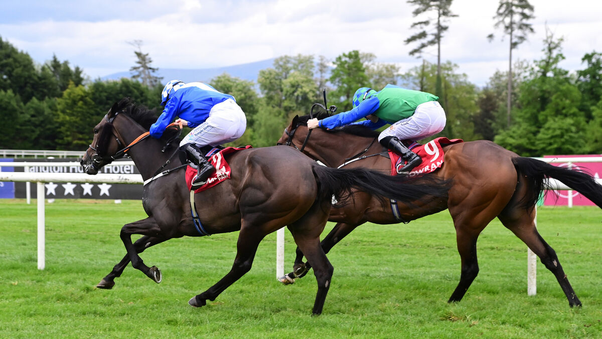 Moody battles to Gowran victory with Cork return on horizon