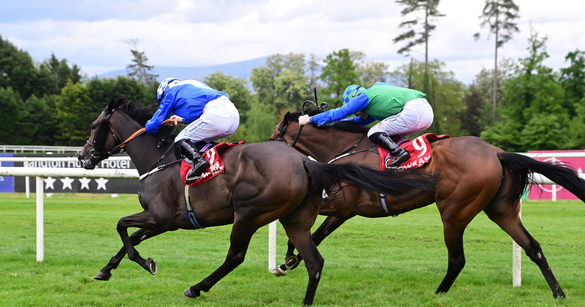 Moody battles to Gowran victory with Cork return on horizon