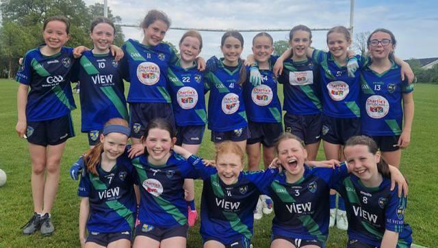 Richard Hogan: Coaches — the heroes in society who guide our children