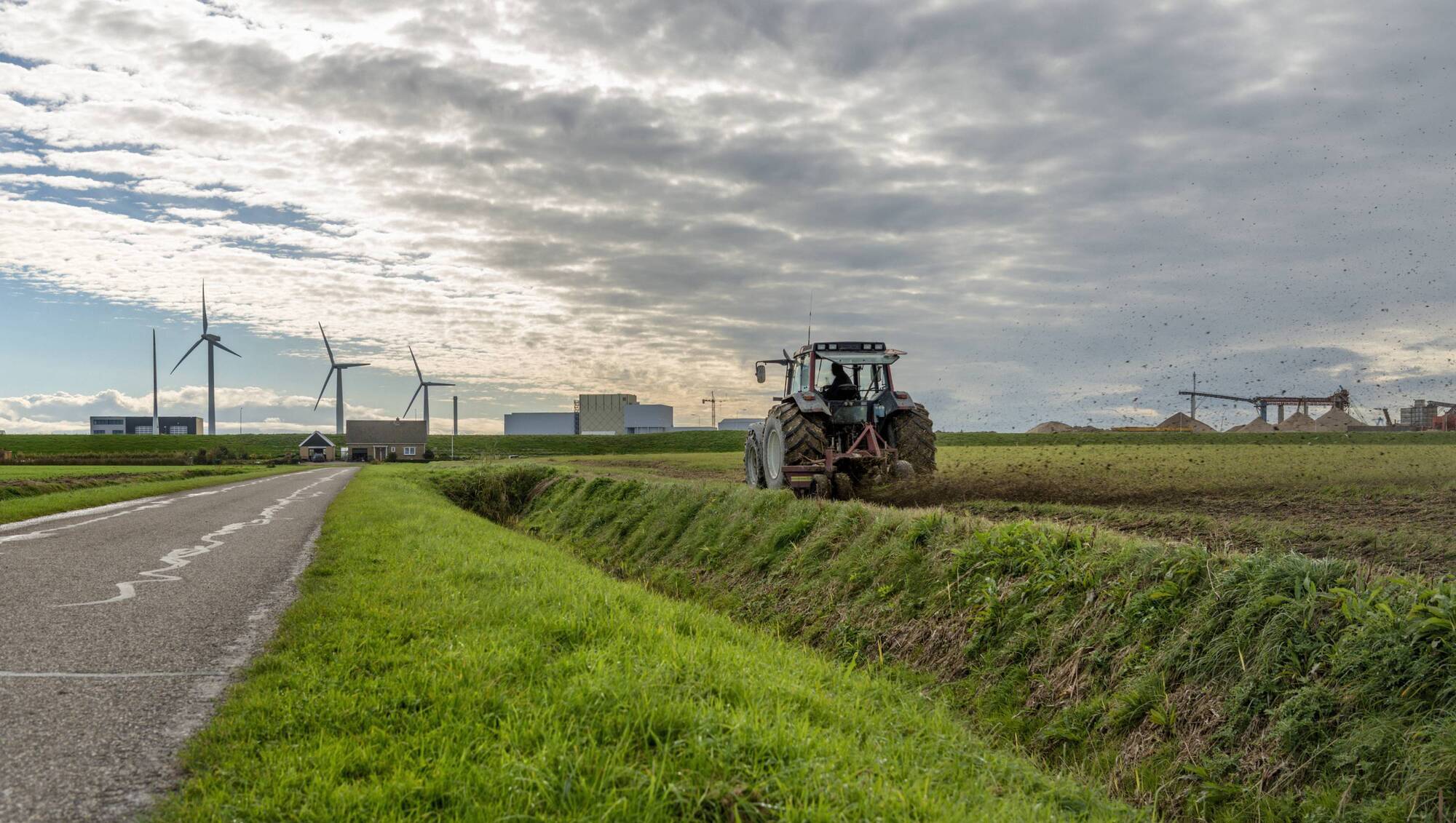 Dutch offer a vision of the future for Irish farmers