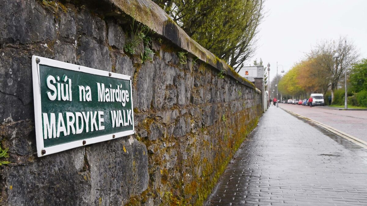 Plans for new student accommodation in Cork City with 120 bedspaces lodged with council