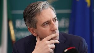<p>Tanaiste and Finance Minister Simon Harris speaking to the media at the Department of Finance in Dublin. </p>