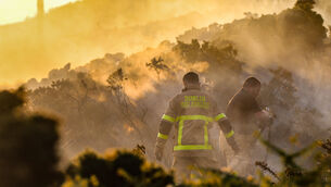 <p>Gorse fires such as the recent blaze on the Blackstairs Mountains prompted John Fitzgerald to appeal for better protection. File picture: Damien Storan</p>