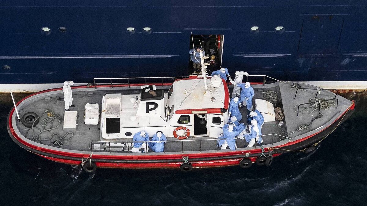 Hantavirus outbreak on cruise ship ‘very different’ from covid-19, expert says