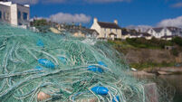 Ireland's whitefish quota boosted by 10% in all-night EU talks; prawn quota up 8%