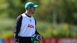 <p>Ireland head coach Scott Bemand. Pic: Ben Brady/Inpho</p>