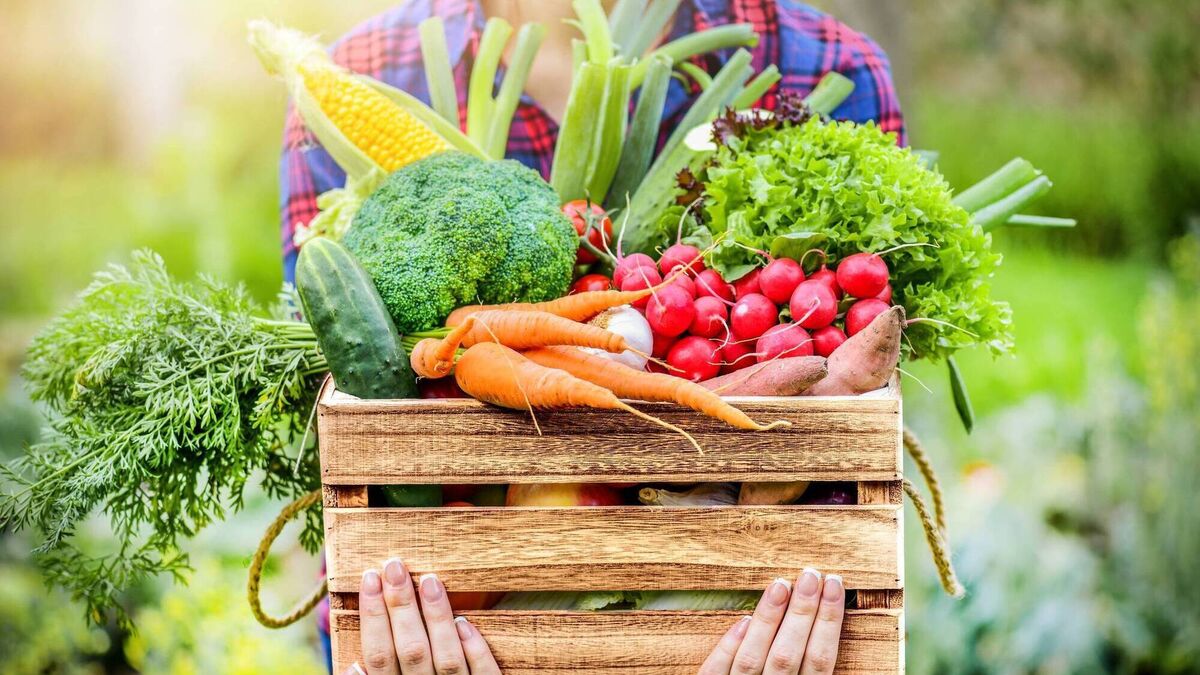 'It might not look the prettiest': Meet the people rescuing fruit and veg 'too ugly' for supermarket shelves
