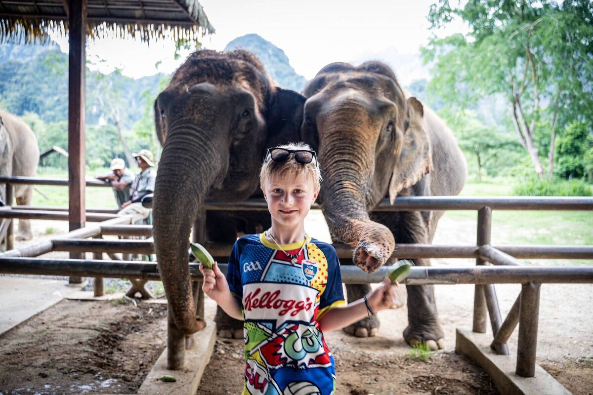 Cillian feeds the elephants at Elephant Hills in Khao Sok National Park.