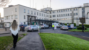<p>The High Court heard that University Hospital Limerick and the HSE have previously apologised unreservedly to the family of Michael Cuddihy and admitted failings in his care. Picture: Dan Linehan</p>