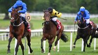 Majestic King can complete quickfire double 