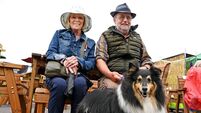 Peter Dowdall: What to see and do at Mallow Home & Garden Festival this weekend 