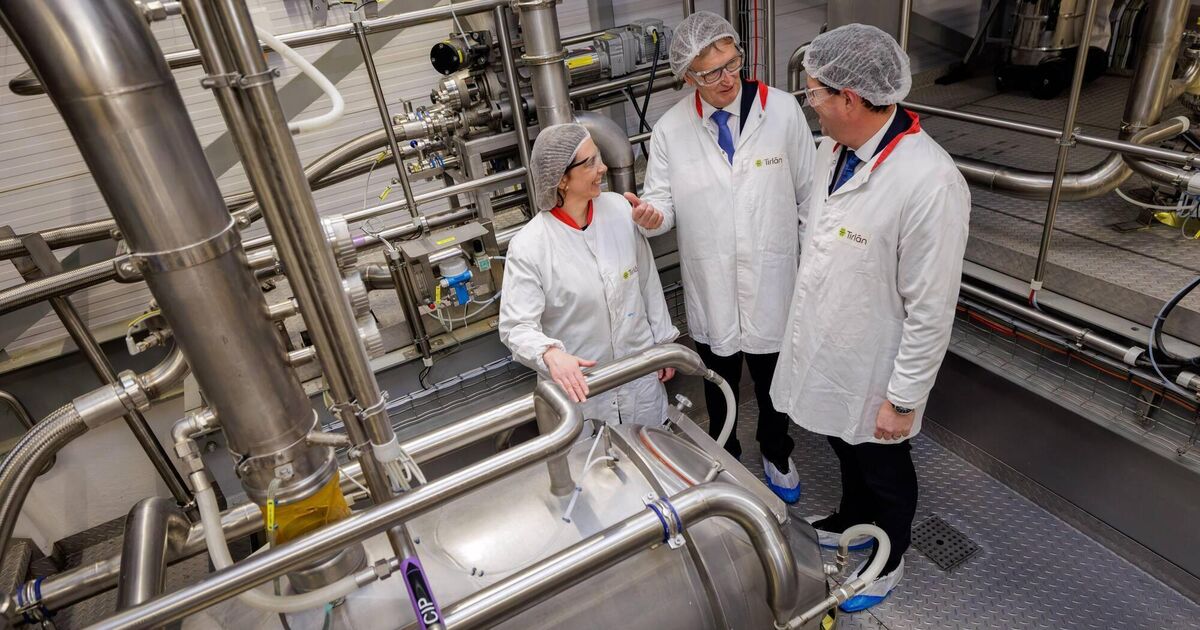 How Ozempic and GLP-1 weight-loss drugs are driving a whey protein boom for Irish dairy