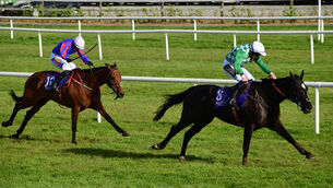 <p>MODEL CITIZENS: Crowsatedappletart wins the Wexford Handicap Chase in the hands of Michael Kenneally. 	Picture: Healy Racing</p>