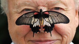 <p>David Attenborough marks a big birthday this week. </p>