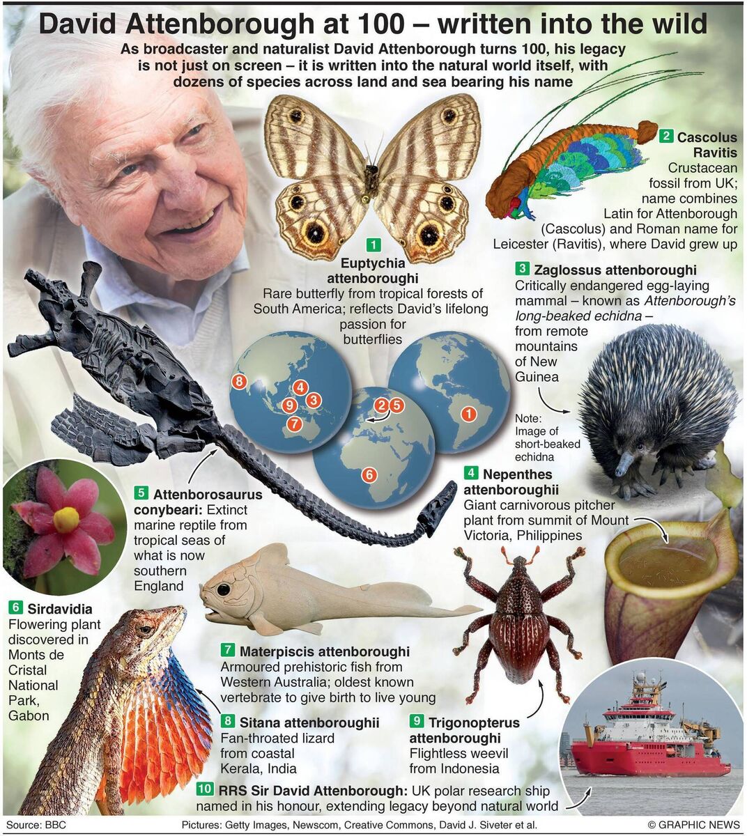 Dozens of species across land and sea have been named after David Attenborough.