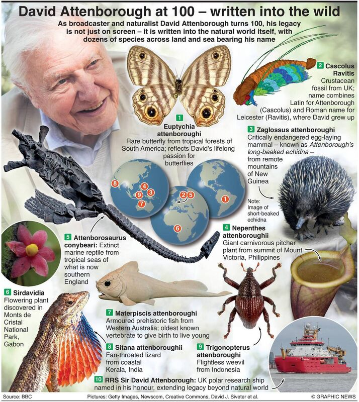 Dozens of species across land and sea have been named after David Attenborough.