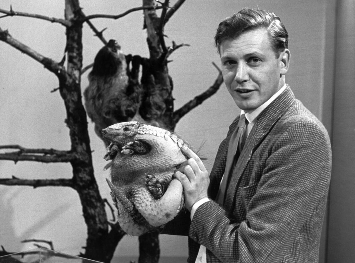 David Attenborough with an armadillo on one of his earliest nature programmes, 'Attenborough and Animals', in 1963. Picture: BBC