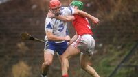 Cork v Waterford - Waterford Crystal Cup Final