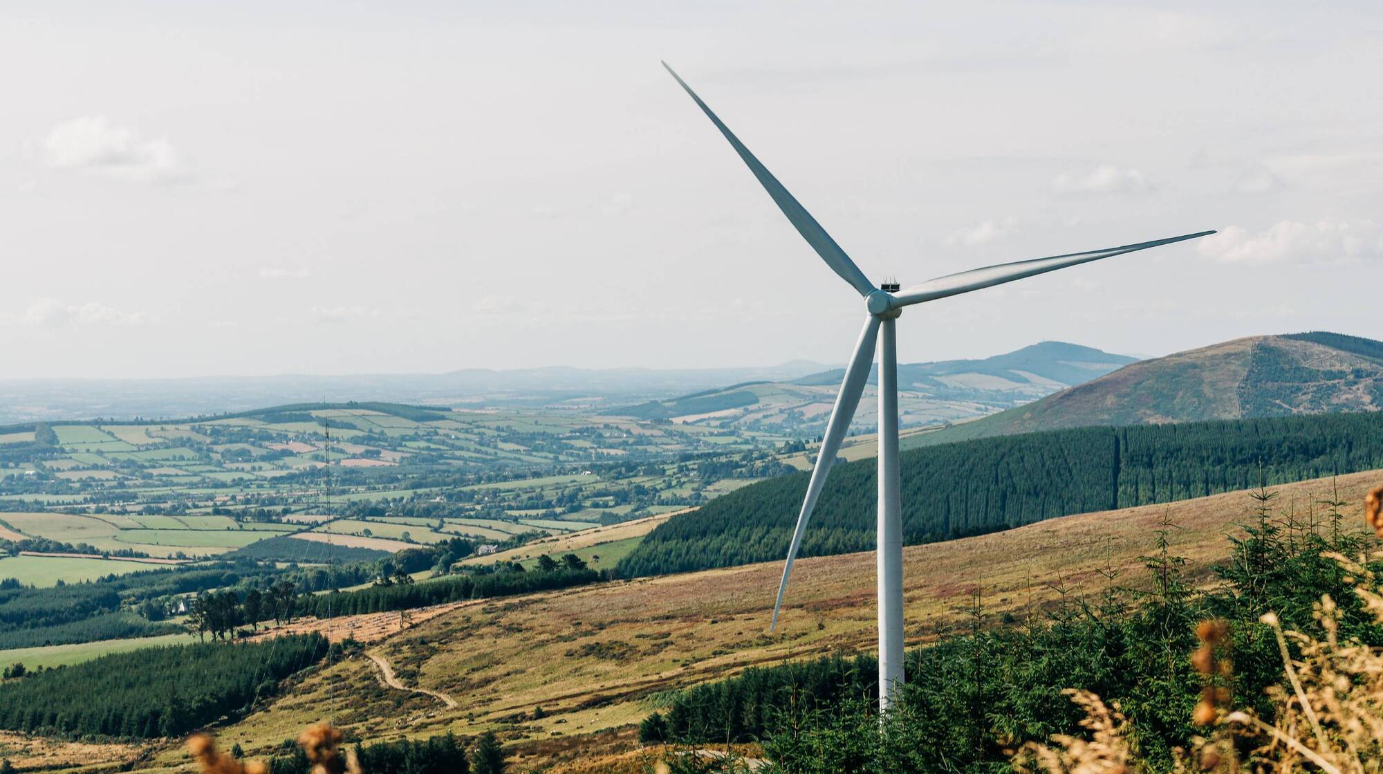 Adare-based firm Ballycar Green Energy had sought the planning permission, which comprised 12 turbines with a tip height of 158m. File picture