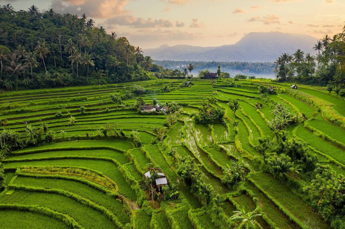 Bali is one for the bucket list