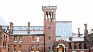<p>Elvis Dulea was sentenced to eight months in prison by Judge Catherine Ryan at Cork District Court .</p>