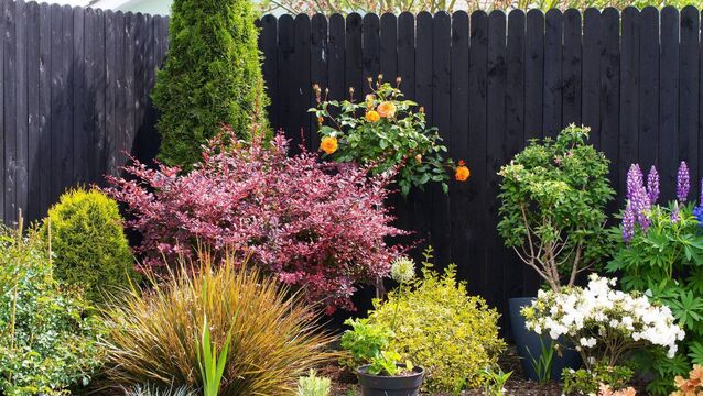 <p>Tramore Road Campus (CSN) will hold its annual plant sale on May 12 and 13. This plant sale showcases the work of the horticulture students. Plants available include annuals, perennials and herbs. Picture: iStock</p>